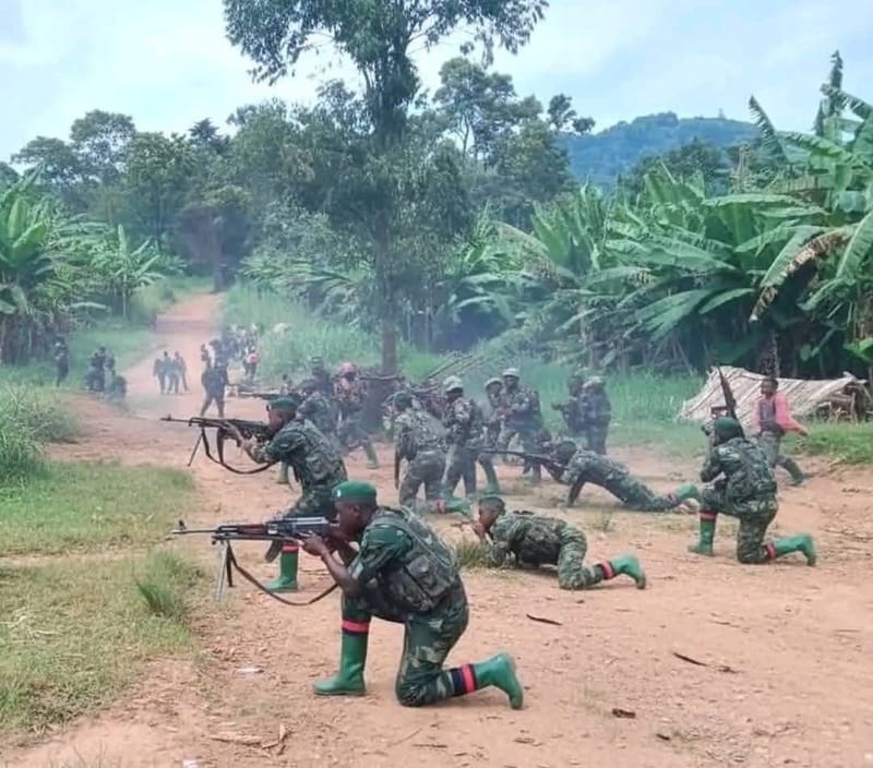 Nord-Kivu/Sécurité : Violents combats à Walikale, la colline Tchad sous tension