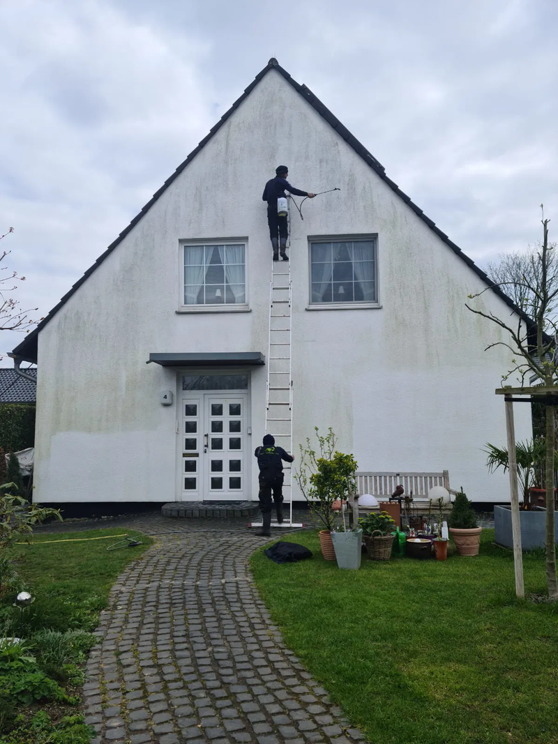 Fassadenreinigung
