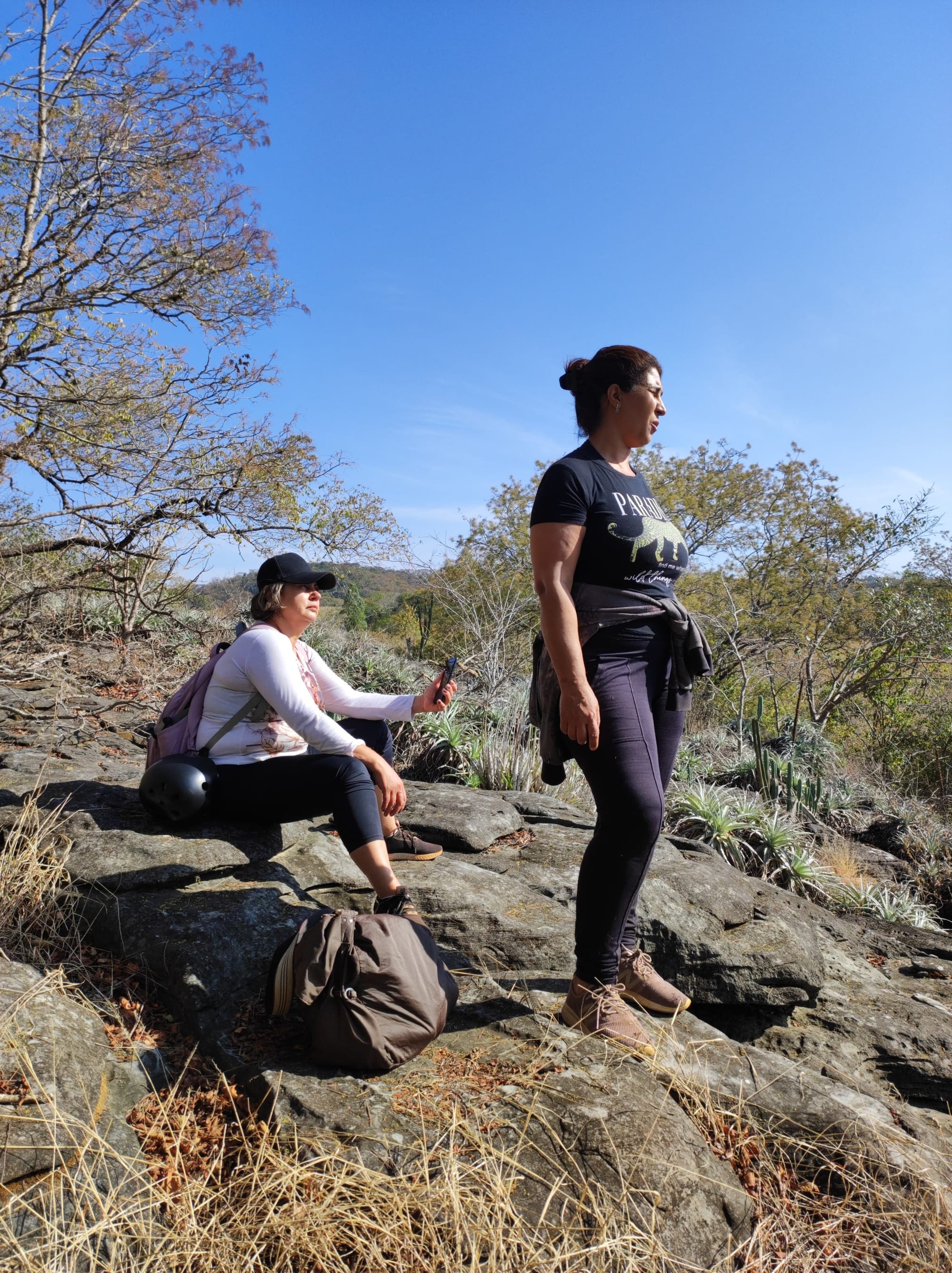 Mirante das Bromélias II