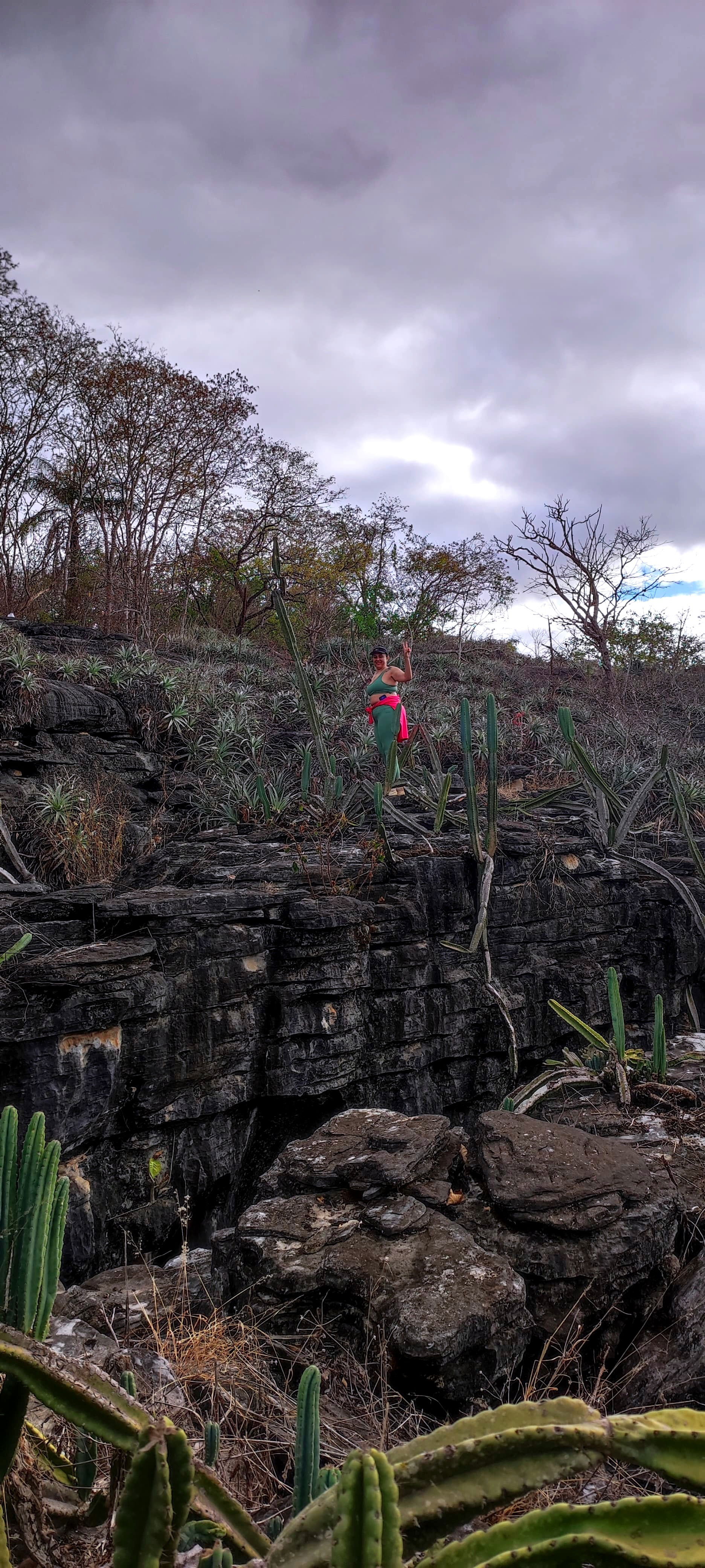 Mirante das Bromélias II