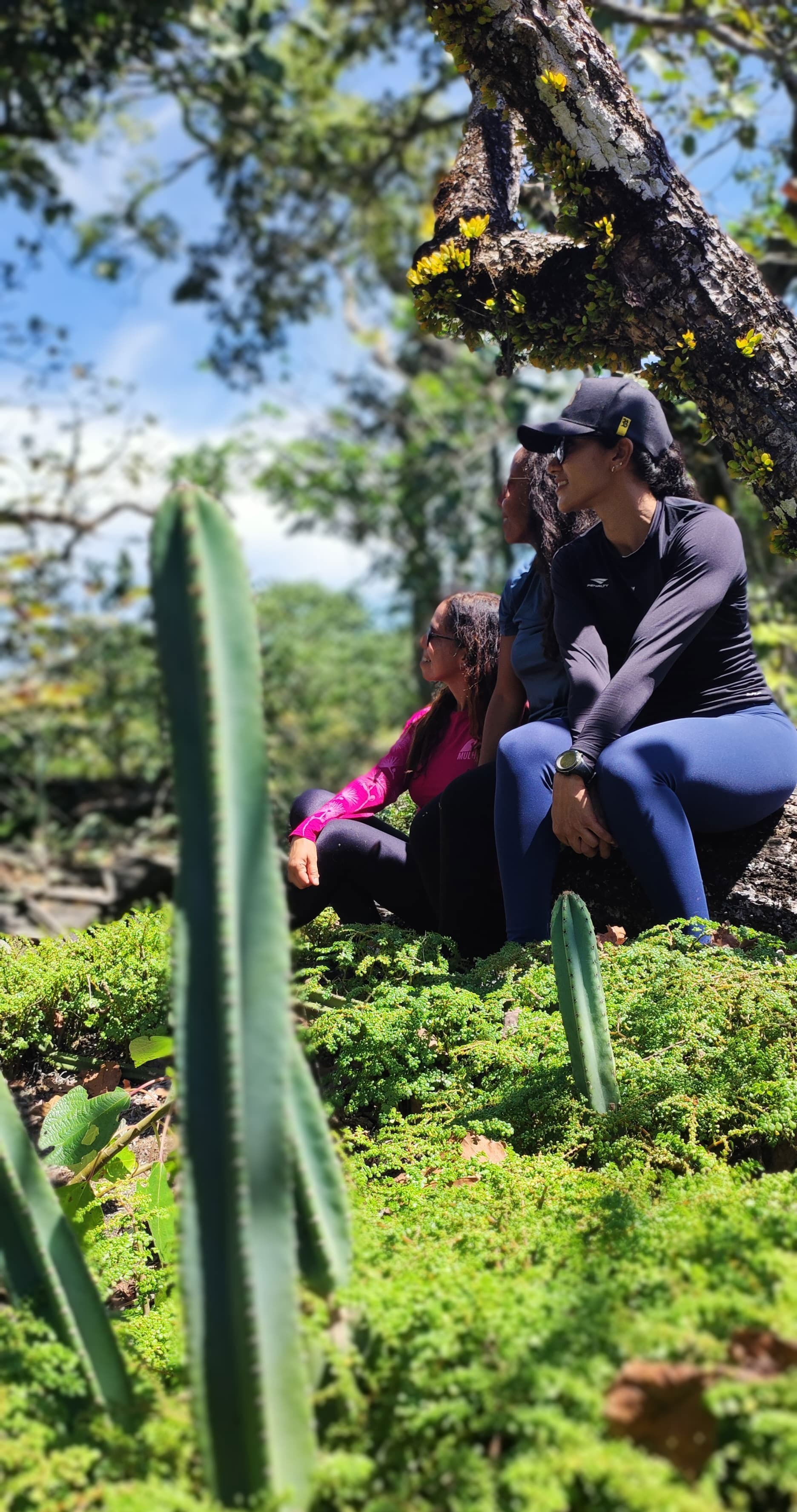 Laje das Orquídeas