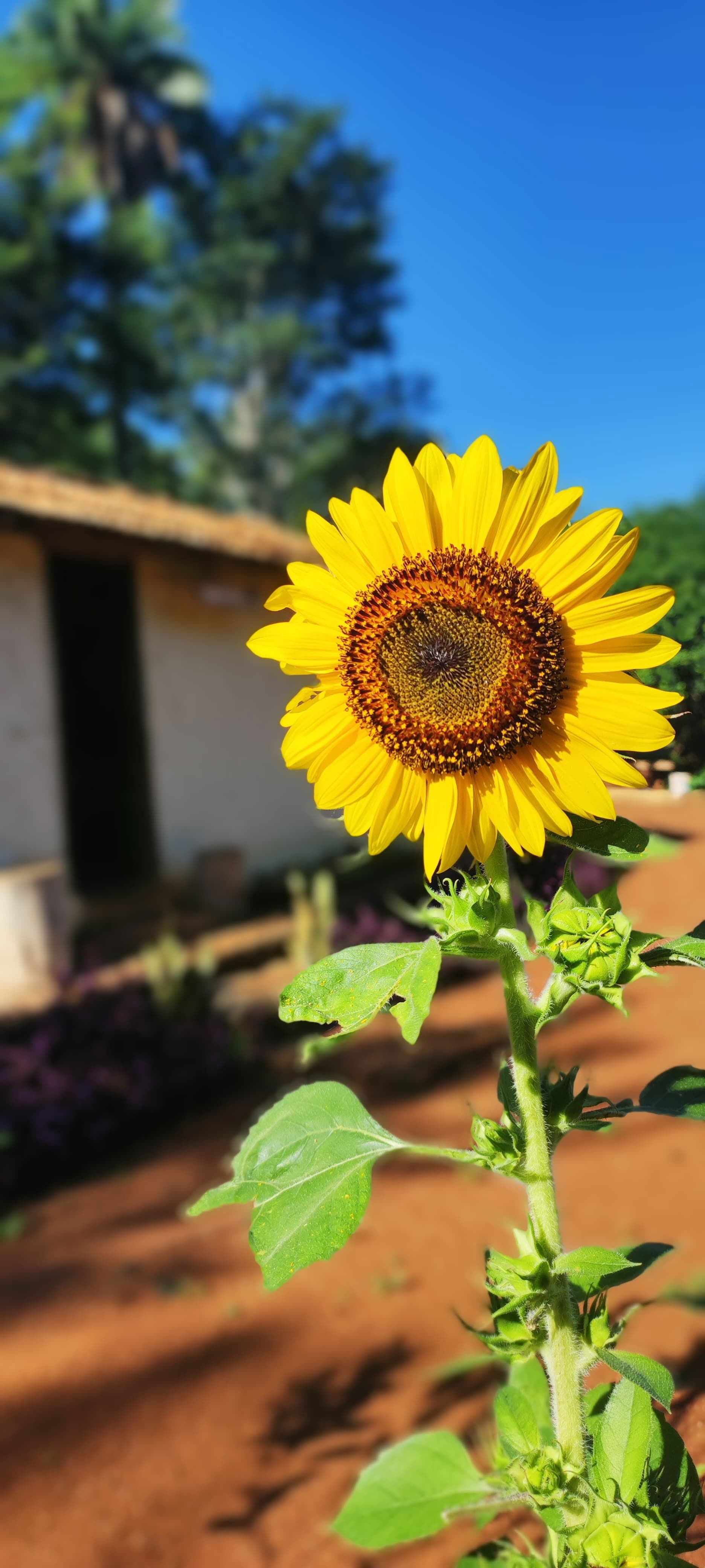 Rancho do Hugo - Ponto de Apoio