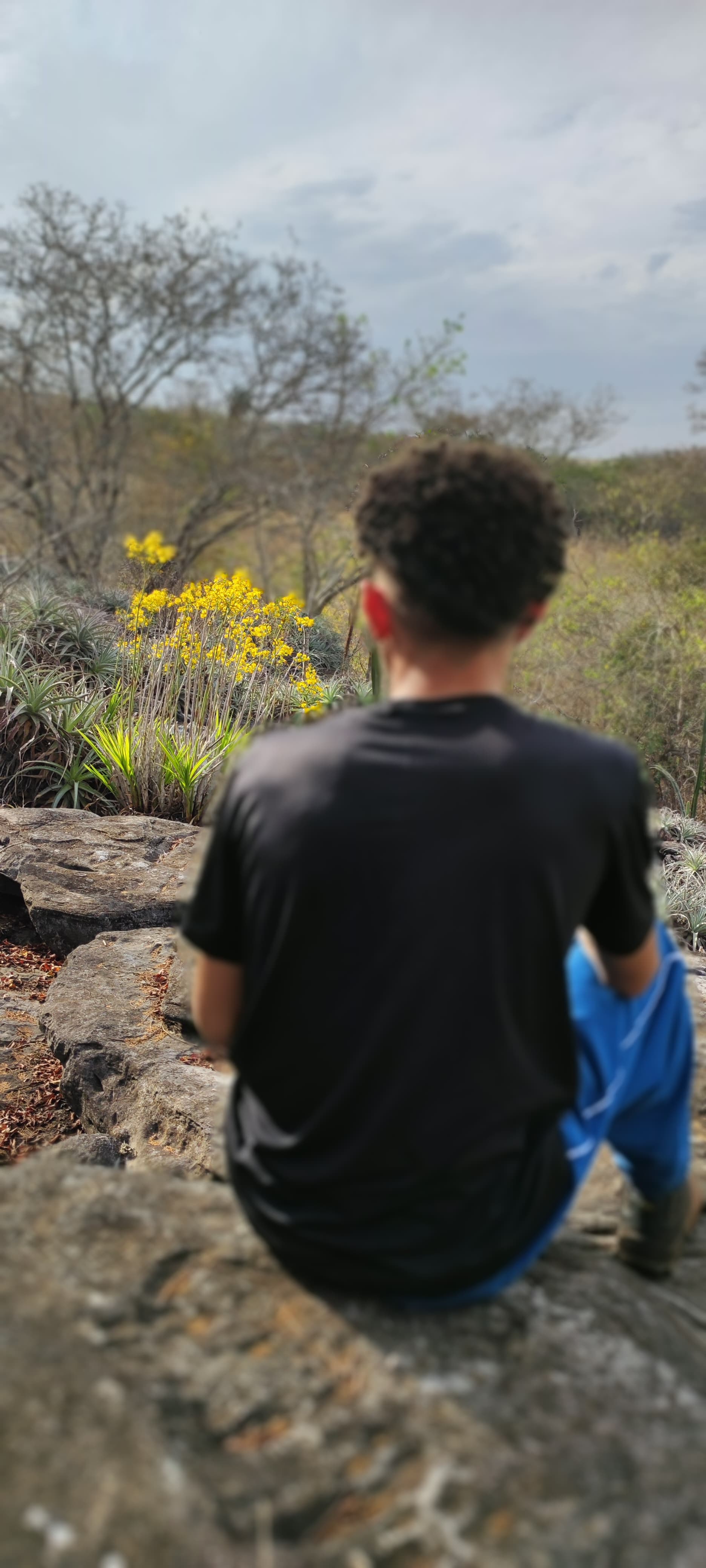 Mirante das Bromélia I