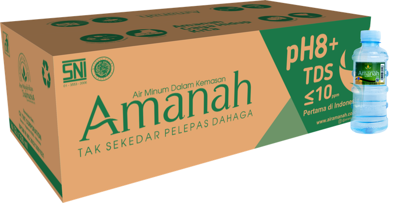AMIGOL 330 ml