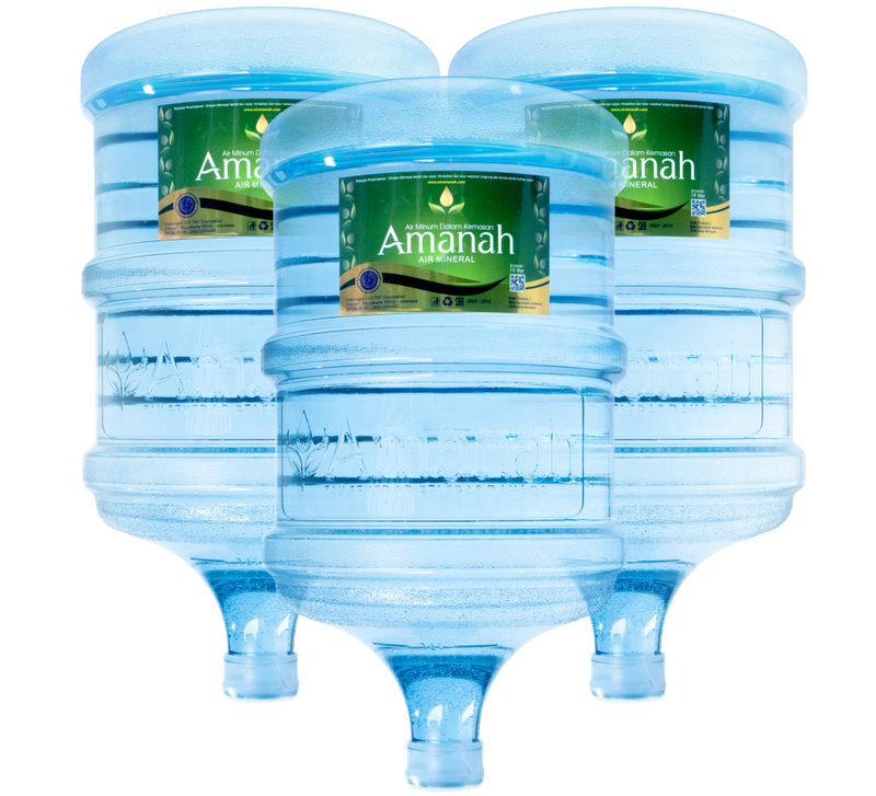 AMIGOL GALON 19 L