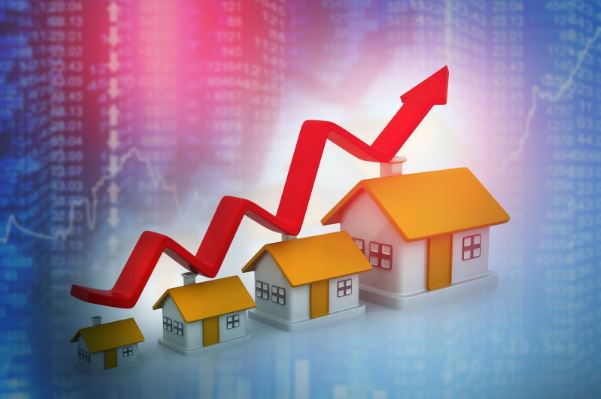 noida extension flats