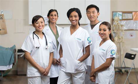 B.Sc. Nursing (Bachelor of Science in Nursing)