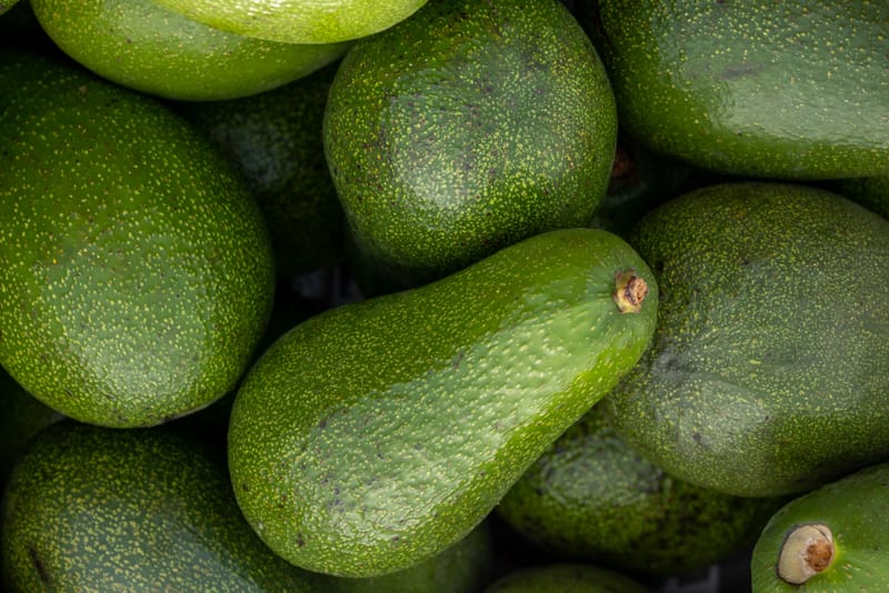 Avocado