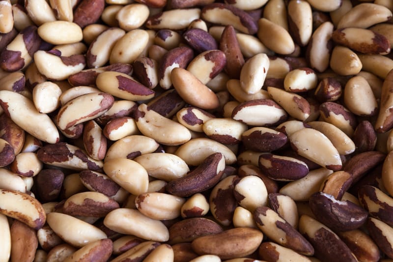 Brazil Nut