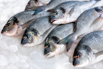 Come riconoscere il pesce fresco: 9 trucchi semplici per non sbagliare al mercato