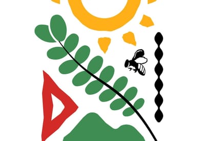 Projeto Conexão Quilombola