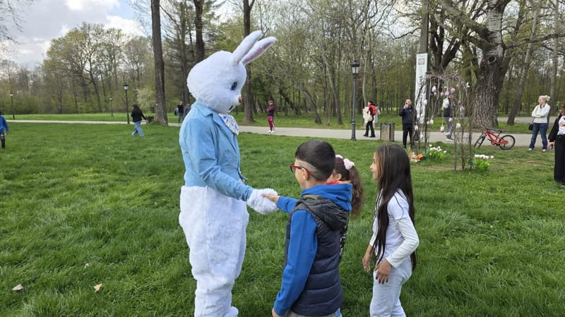 Animatori si mascote