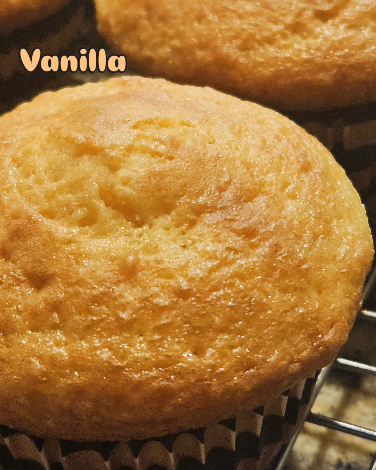 Vanilla Cupcakes - unfrosted