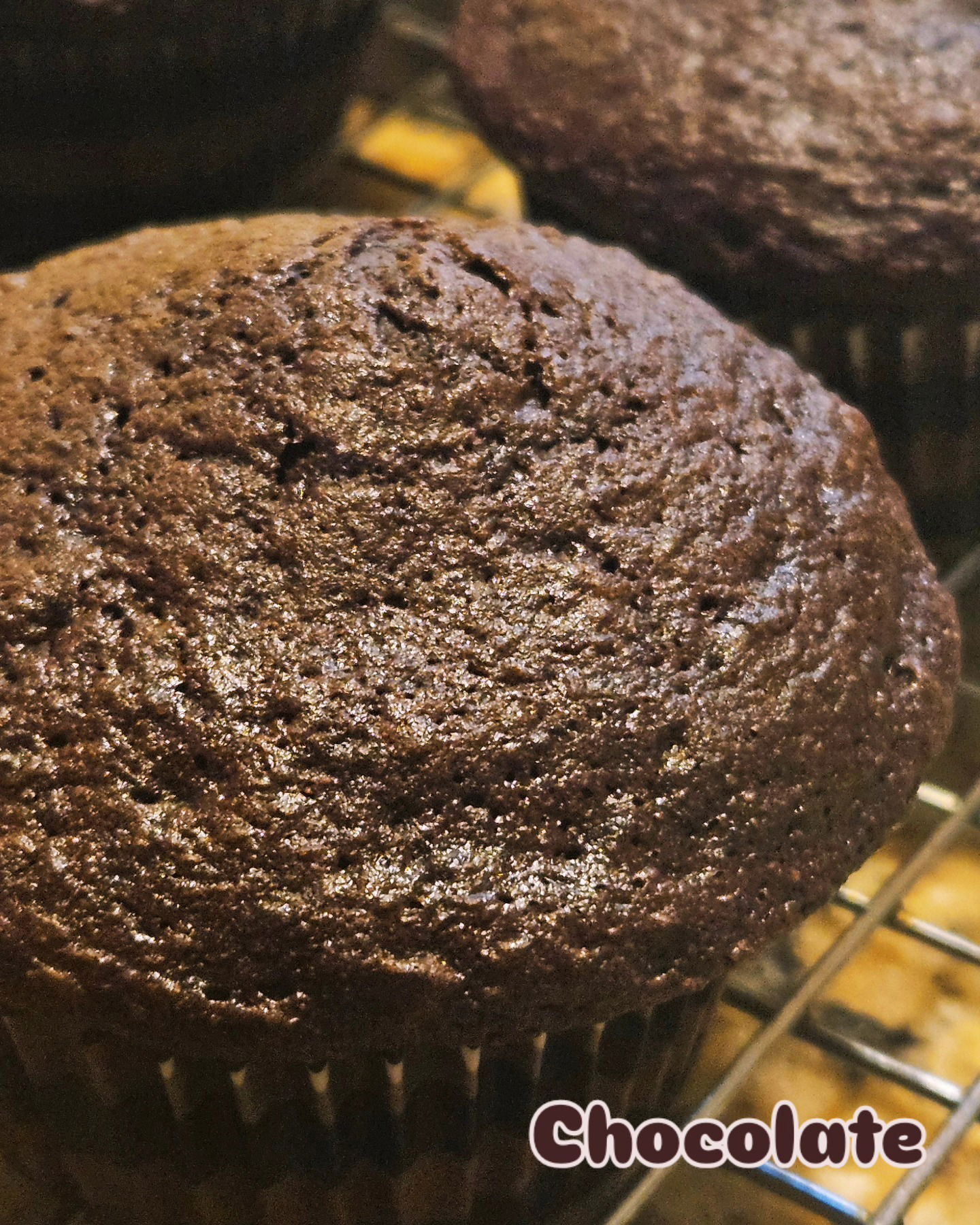 Chocolate Cupcakes - unfrosted