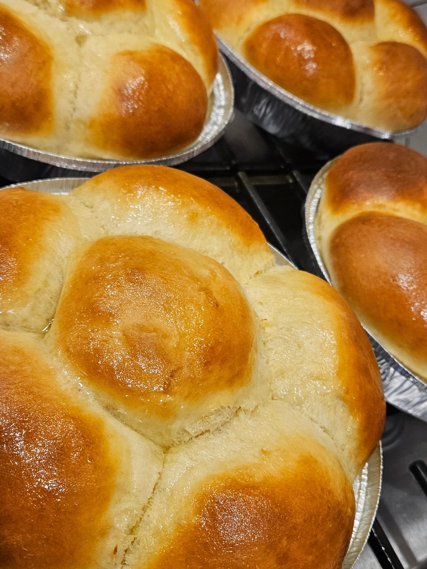 Dinner Rolls
