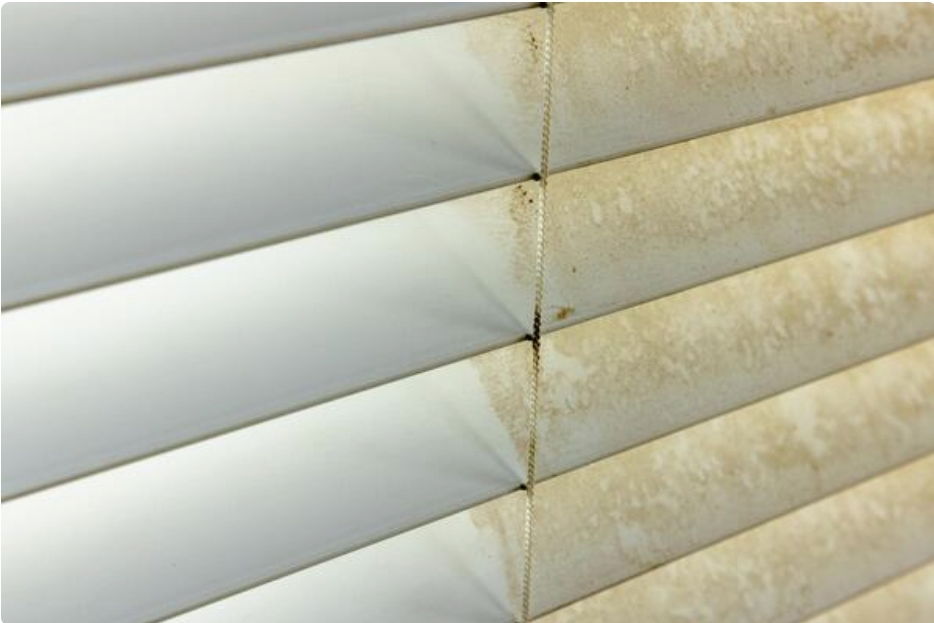 When were your blinds last cleaned?
