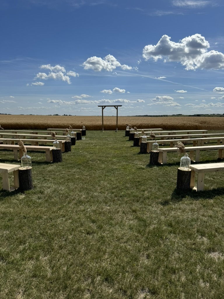 Oak Stumps