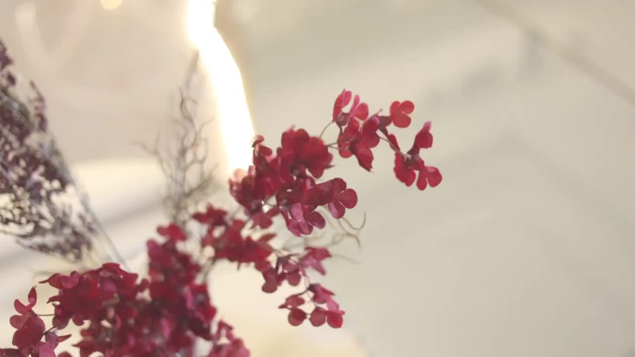 برومو القاعة thumbnail