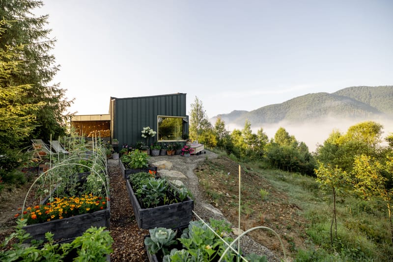 Project Managment and Capacity Development