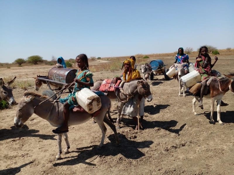 Strengthening Drought Resilience for Smaller Farmers and Pastoralists in the IGAD region, Alsalam locality, Sudan