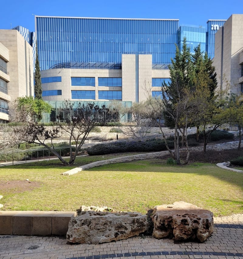 אחזקה וטיפולי גינה