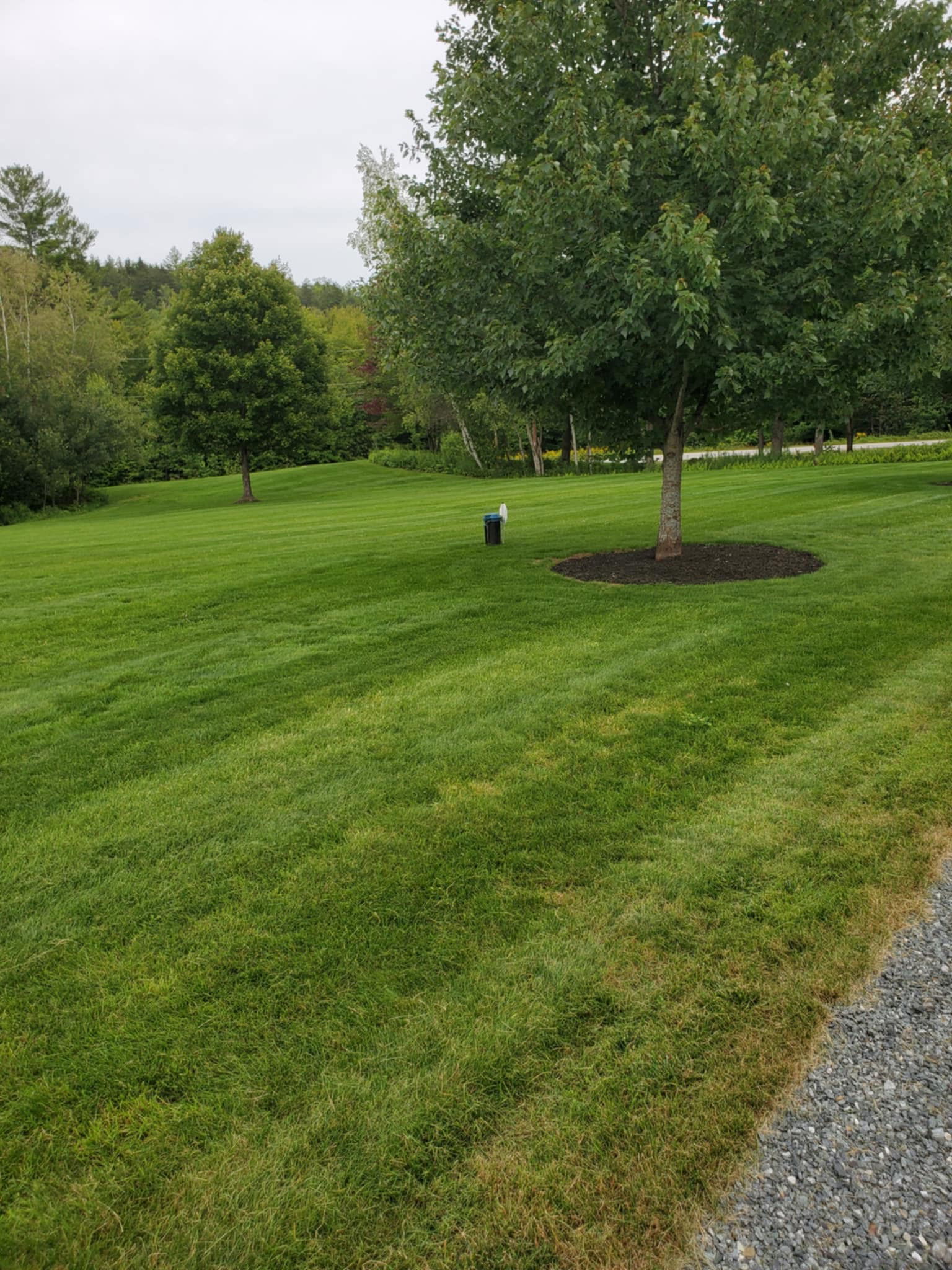 Mowing