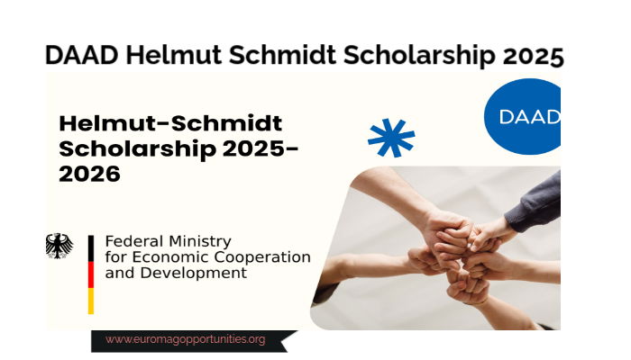 DAAD Helmut Schmidt Scholarship 2025