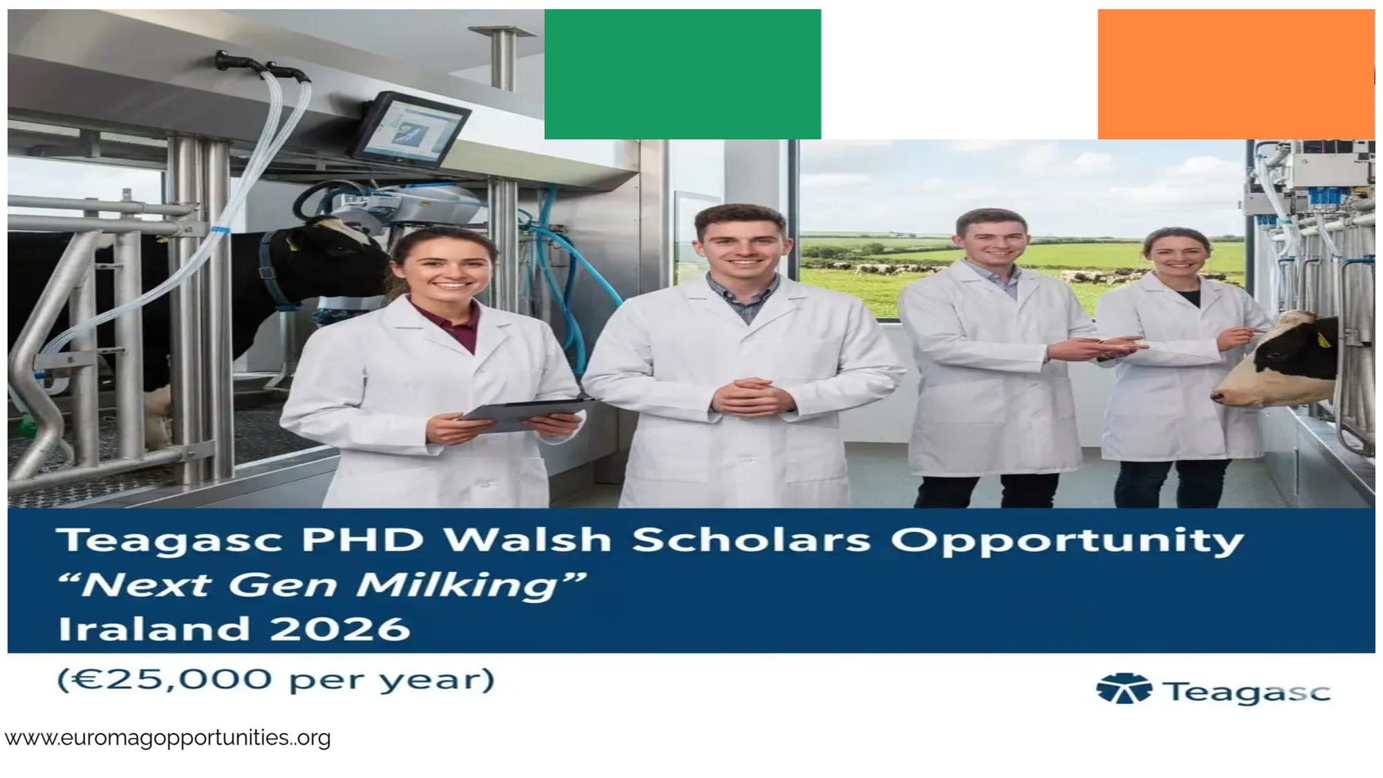 University of Limerick Teagasc Walsh Scholarship 2026