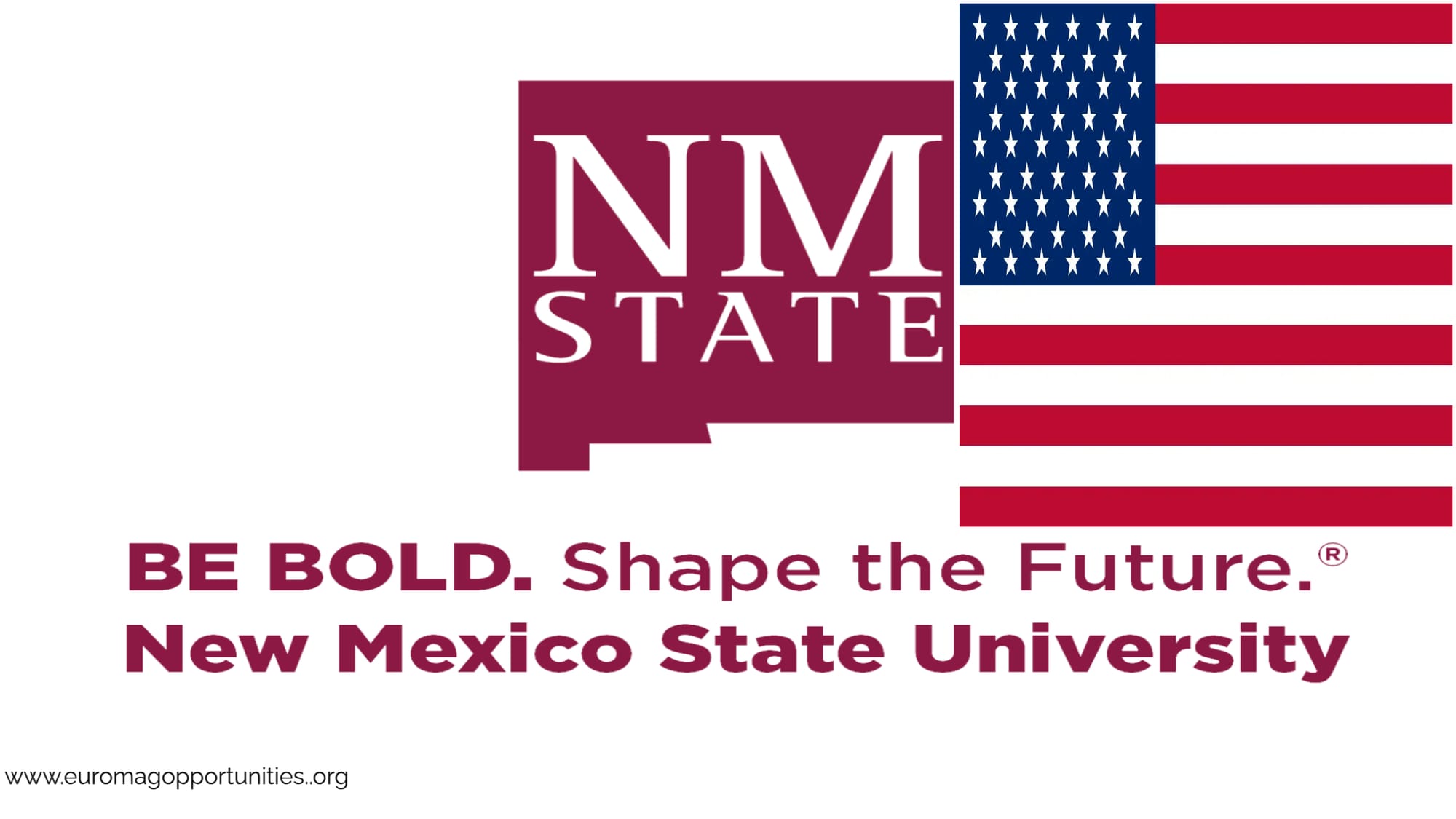 New Mexico State University Scholarship 2026