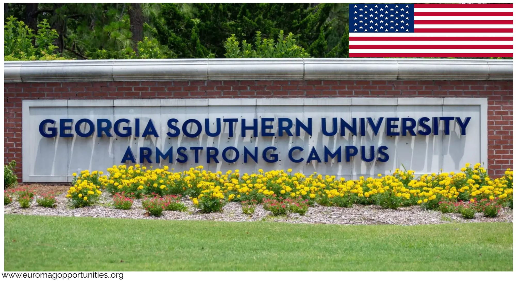 Georgia Southern University Scholarship 2026 USA