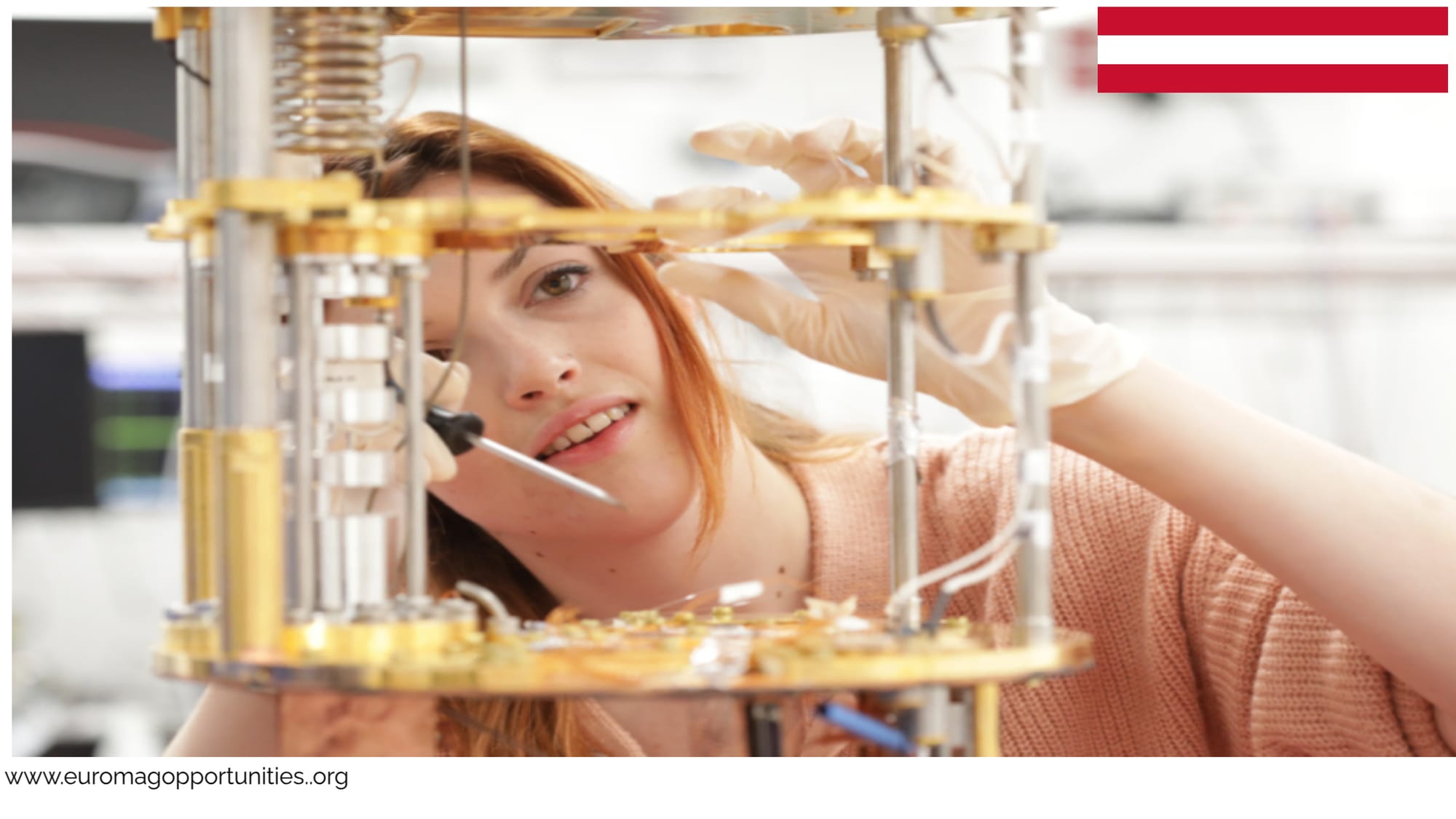 ISTA PhD Program 2026 in Austria | Fully Funded Doctoral Scholarships