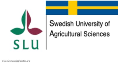 PhD in Wood Waste Recycling at SLU Uppsala 2025