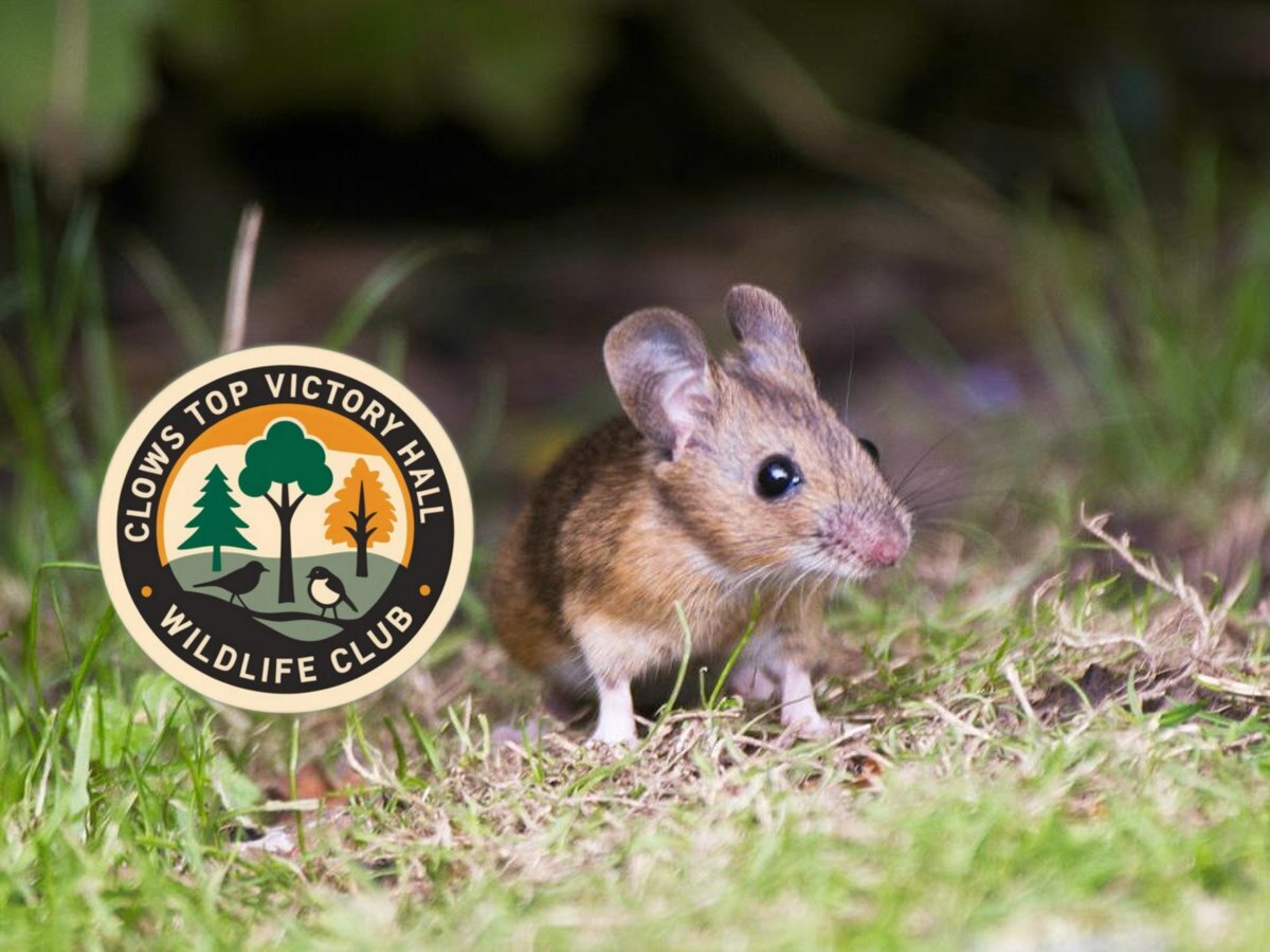 Friday 30th January, 2026