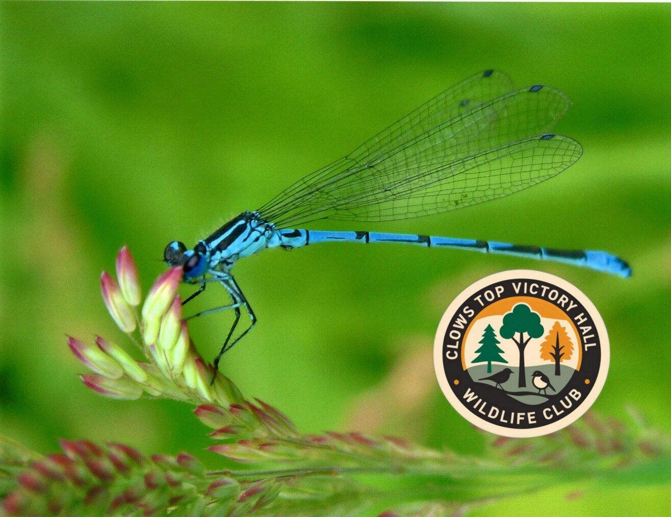 Friday 27th March, 2026