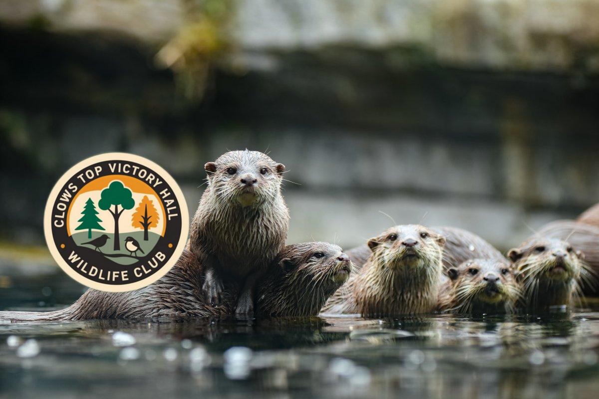 Friday 28th November, 2025