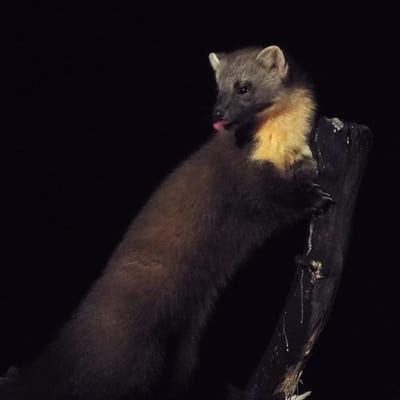 Friday 28th March, 2025