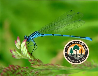 Friday 27th March, 2026