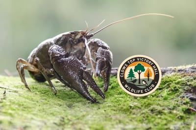 Friday 24th April, 2026