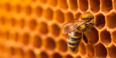 Friday 29th May, 2026