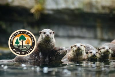 Friday 28th November, 2025