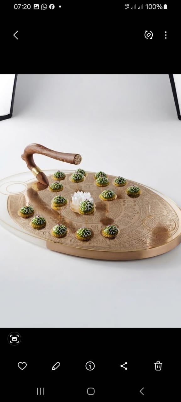 Bocuse d’or afrique 2026 : L'éléphant cuisinier chef Bably veut aller à Lyon avec sa daba