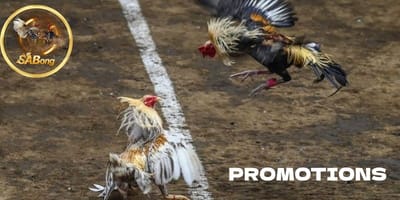 Don’t Miss Out: SABONG Promotions That Will Supercharge Your Bets