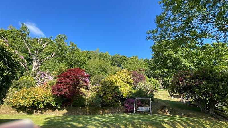 Special Interest Group