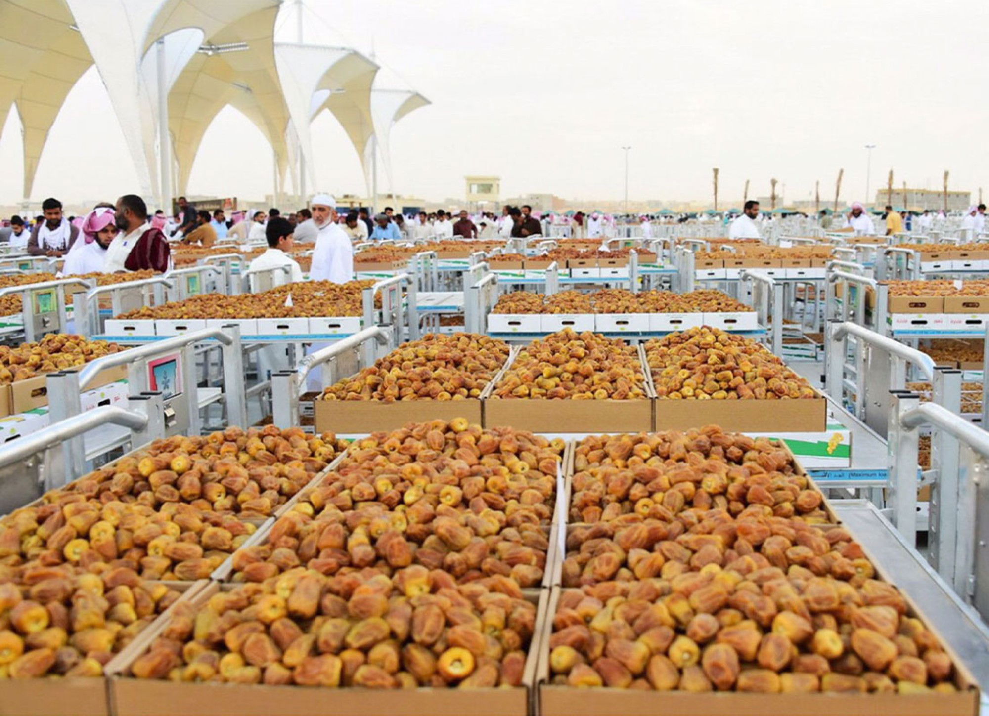 مهرجان التمور في سوق الزبير يشعل الحركة التجارية