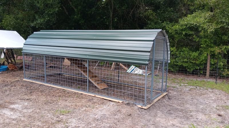 Chicken Runs/Coops
