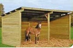 Box chevaux