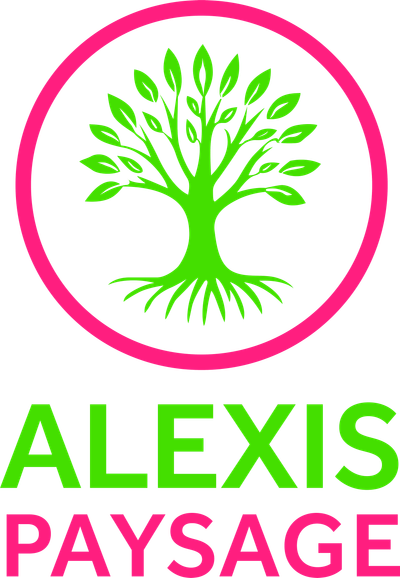 Alexis Paysage