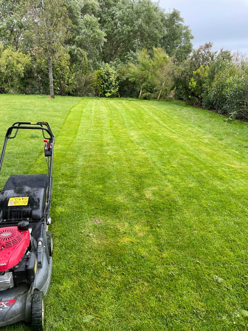 Entretien de Jardins