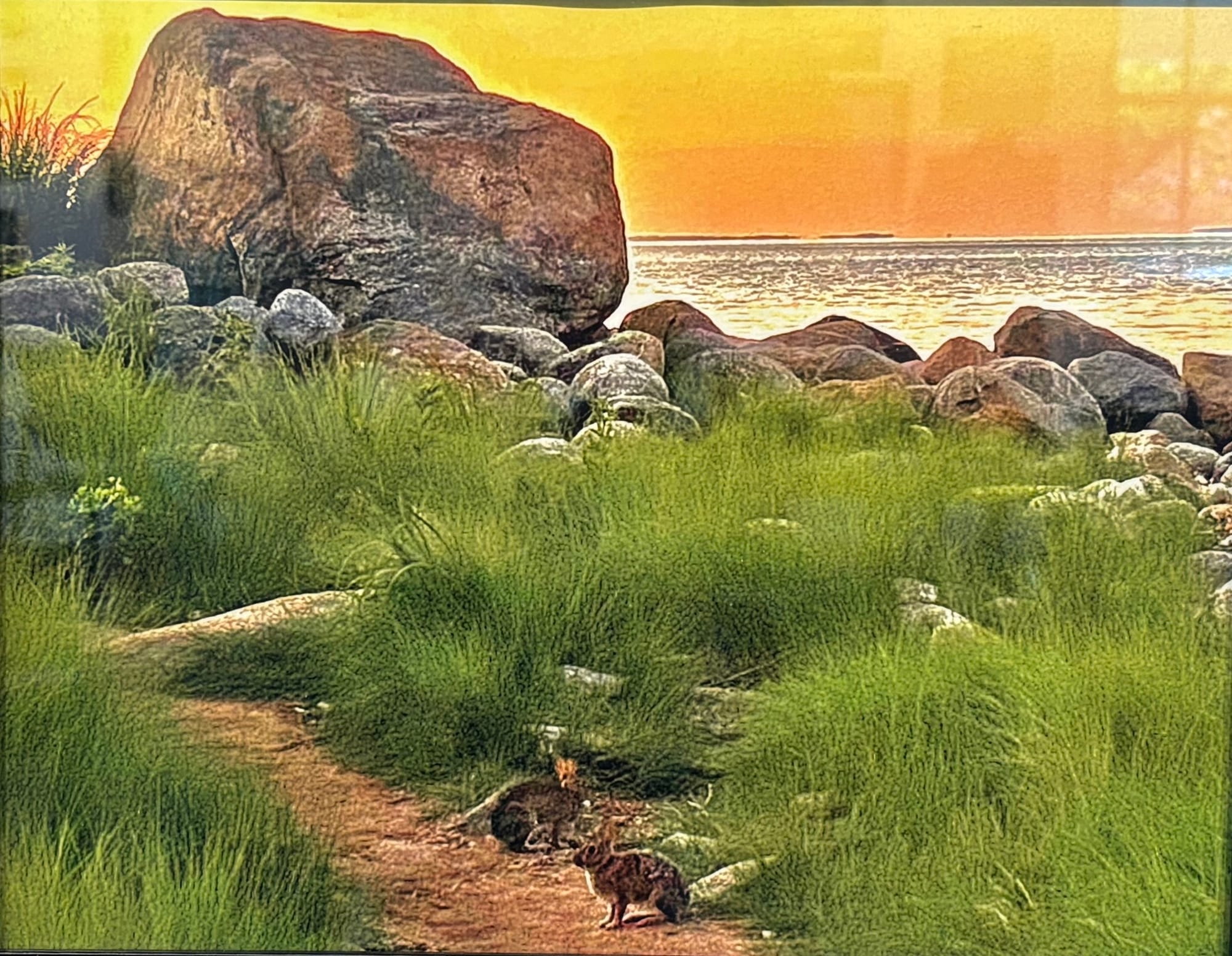 “Two Bunny Sunrise”  Danny Veilleux | Photo