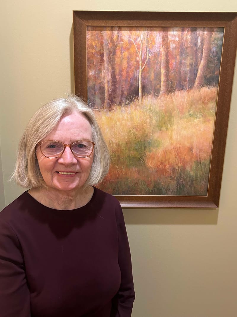 Solo Show / Town Hall Gallery